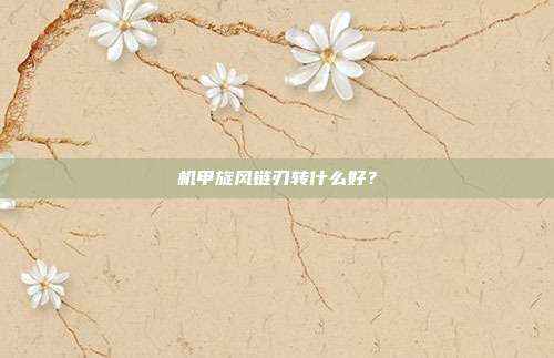 机甲旋风链刃转什么好?