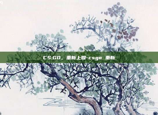 CS:GO,重新上膛-csgo 重新