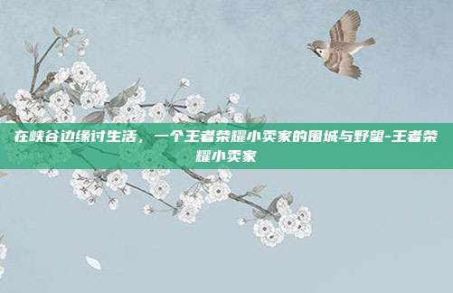 在峡谷边缘讨生活,一个王者荣耀小卖家的围城与野望-王者荣耀小卖家