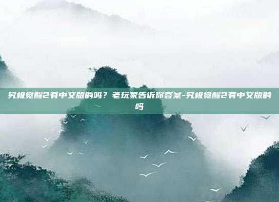 究极觉醒2有中文版的吗?老玩家告诉你答案-究极觉醒2有中文版的吗