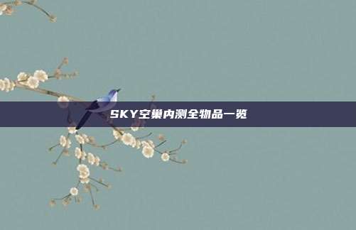 SKY空巢内测全物品一览
