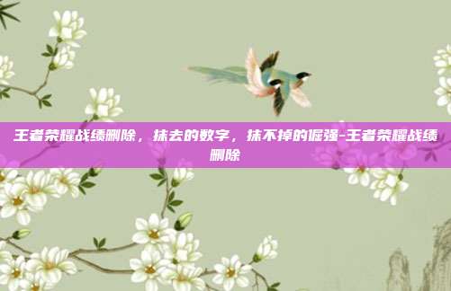 王者荣耀战绩删除,抹去的数字,抹不掉的倔强-王者荣耀战绩删除