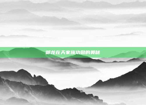 御龙在天家族功勋的奥秘
