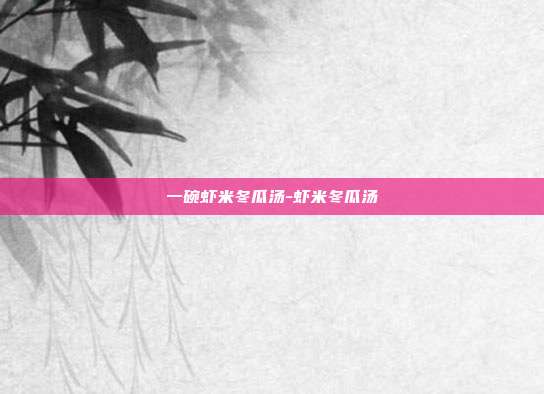 一碗虾米冬瓜汤-虾米冬瓜汤