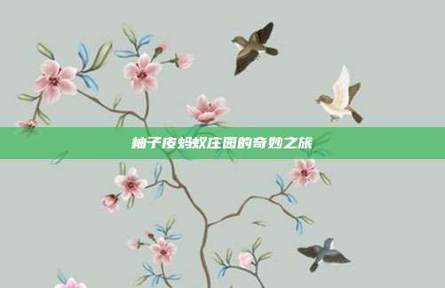 柚子皮蚂蚁庄园的奇妙之旅