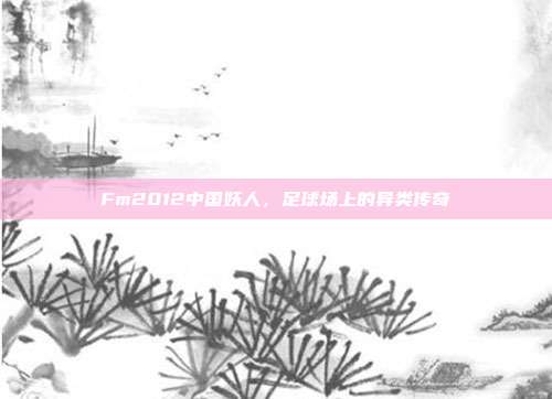 Fm2012中国妖人，足球场上的异类传奇
