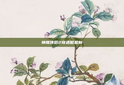 神雕侠侣2奇遇略最新