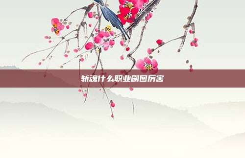 斩魂什么职业刷图厉害