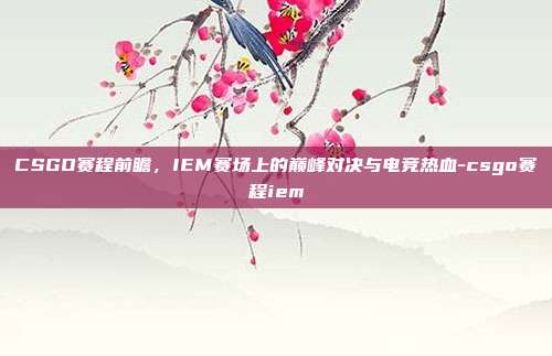 CSGO赛程前瞻，IEM赛场上的巅峰对决与电竞热血-csgo赛程iem