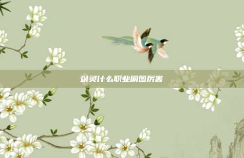 剑灵什么职业刷图厉害