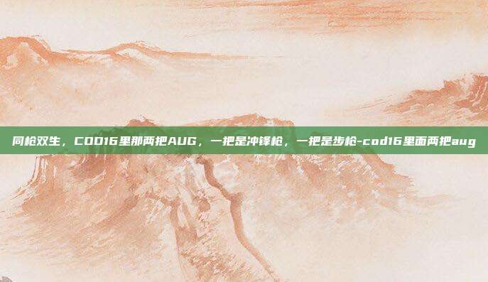 同枪双生,COD16里那两把AUG,一把是冲锋枪,一把是步枪-cod16里面两把aug