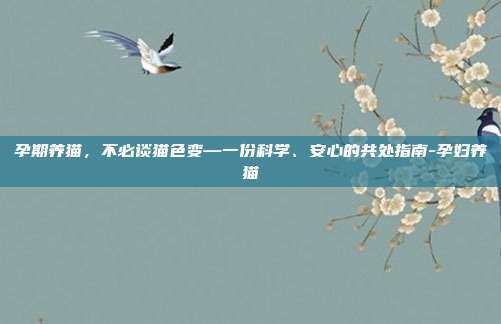 孕期养猫,不必谈猫色变—一份科学、安心的共处指南-孕妇养猫