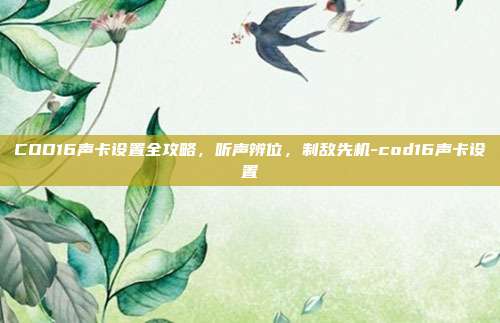 COD16声卡设置全攻略,听声辨位,制敌先机-cod16声卡设置