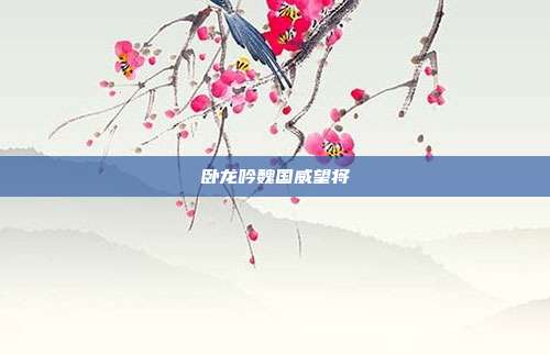 卧龙吟魏国威望将