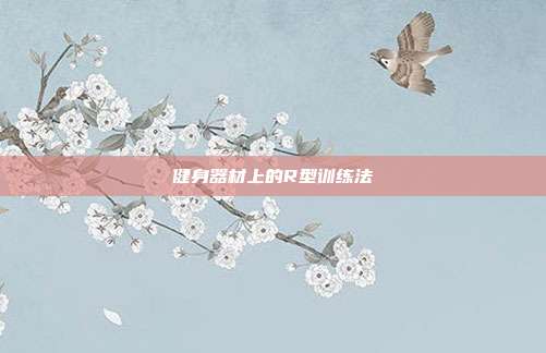 健身器材上的R型训练法