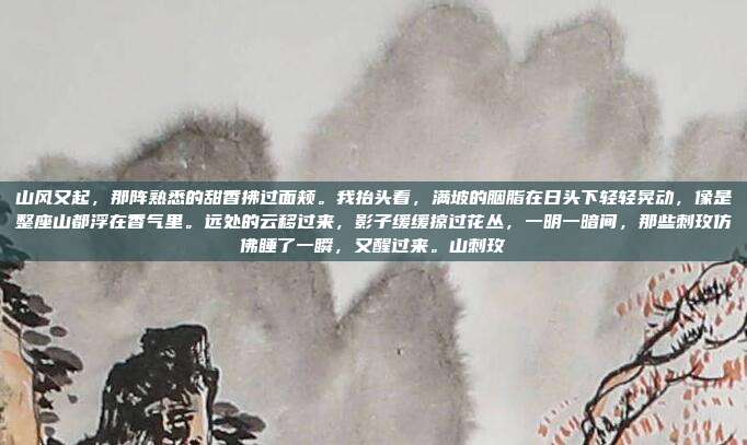 山风又起,那阵熟悉的甜香拂过面颊。我抬头看,满坡的胭脂在日头下轻轻晃动,像是整座山都浮在香气里。远处的云移过来,影子缓缓掠过花丛,一明一暗间,那些刺玫仿佛睡了一瞬,又醒过来。山刺玫