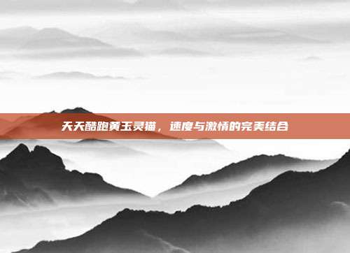 天天酷跑黄玉灵猫，速度与激情的完美结合