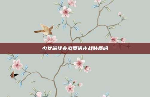 少女前线夜战要带夜战装备吗