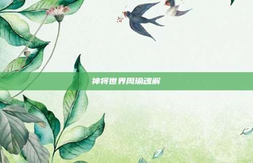 神将世界周瑜魂解