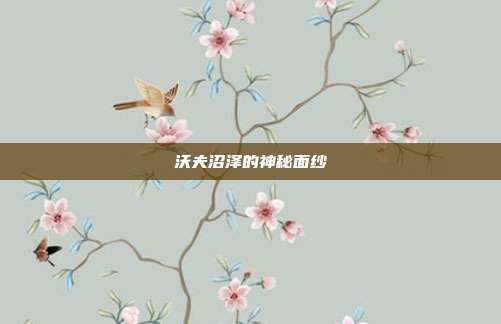 沃夫沼泽的神秘面纱