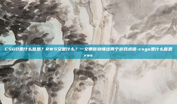 CSGO是什么意思？RWS又是什么？一文带你搞懂这两个游戏术语-csgo是什么意思rws