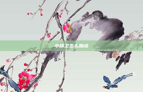 小精卫怎么加点