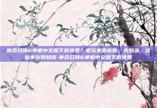 使命召唤6单机中文版下载免费?老玩家告诉你,先别急,这些事你得知道-使命召唤6单机中文版下载免费