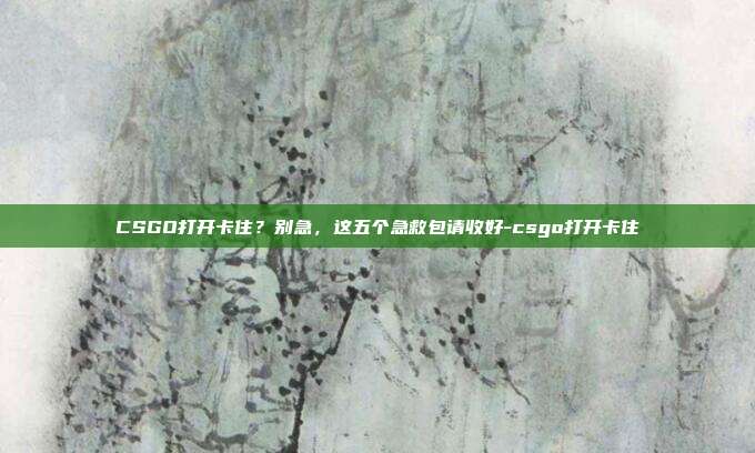 CSGO打开卡住？别急，这五个急救包请收好-csgo打开卡住