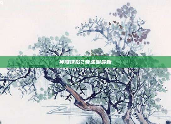 神雕侠侣2奇遇略最新