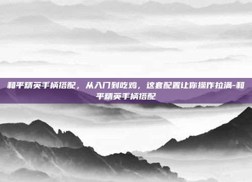 和平精英手柄搭配，从入门到吃鸡，这套配置让你操作拉满-和平精英手柄搭配