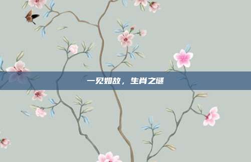 一见如故，生肖之谜
