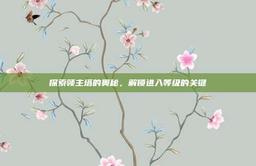 探索领主塔的奥秘，解锁进入等级的关键