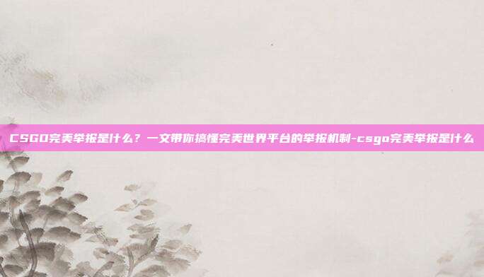 CSGO完美举报是什么?一文带你搞懂完美世界平台的举报机制-csgo完美举报是什么