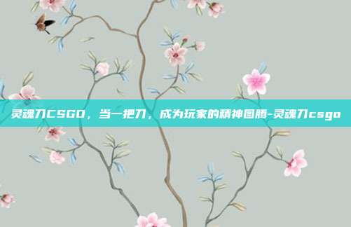 灵魂刀CSGO,当一把刀,成为玩家的精神图腾-灵魂刀csgo