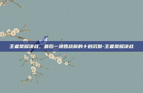 王者荣耀决战,最后一波团战前的十秒沉默-王者荣耀决战
