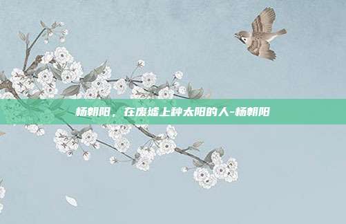 杨朝阳,在废墟上种太阳的人-杨朝阳
