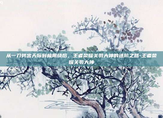 从一刀劈出天际到极限绕后,王者荣耀关羽大神的进阶之路-王者荣耀关羽大神
