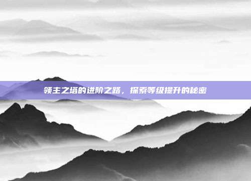 领主之塔的进阶之路,探索等级提升的秘密