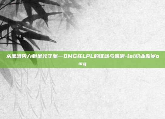从黑暗势力到星光守望—OMG在LPL的征途与回响-lol职业联赛omg