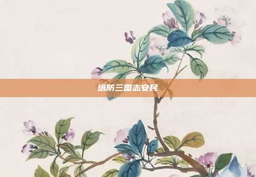 塔防三国志安民