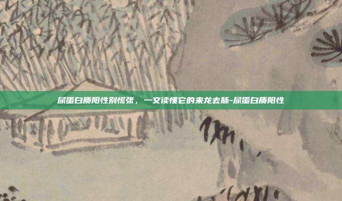 尿蛋白质阳性别慌张,一文读懂它的来龙去脉-尿蛋白质阳性