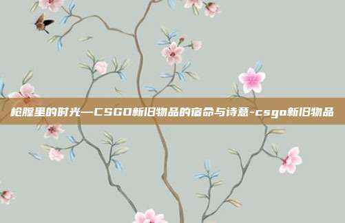 枪膛里的时光—CSGO新旧物品的宿命与诗意-csgo新旧物品