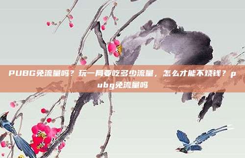 PUBG免流量吗?玩一局要吃多少流量,怎么才能不烧钱?pubg免流量吗