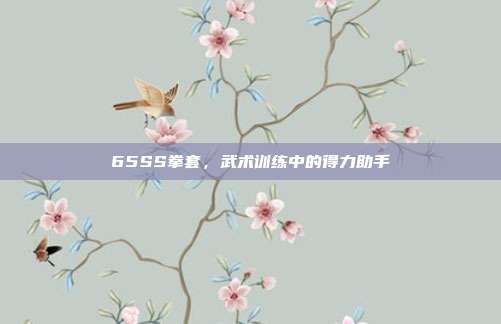 65SS拳套，武术训练中的得力助手