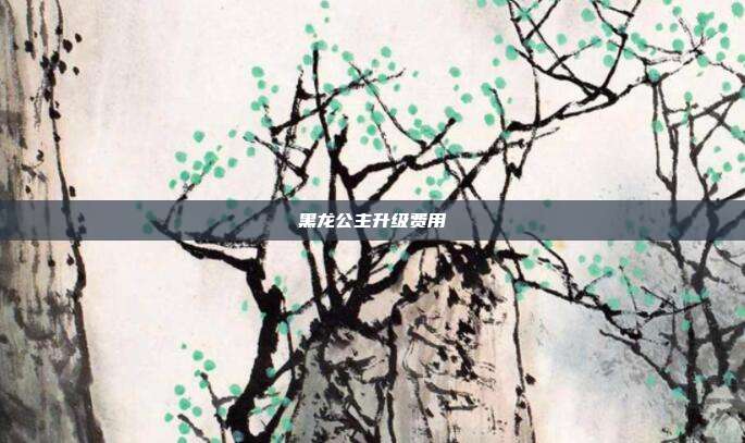 黑龙公主升级费用