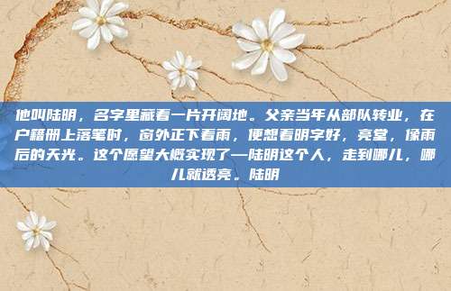 他叫陆明，名字里藏着一片开阔地。父亲当年从部队转业，在户籍册上落笔时，窗外正下着雨，便想着明字好，亮堂，像雨后的天光。这个愿望大概实现了—陆明这个人，走到哪儿，哪儿就透亮。陆明