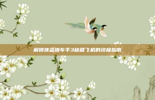 解锁侠盗猎车手3秘籍飞机的终极指南