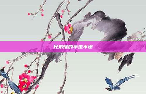 兄弟懂的拿走不谢