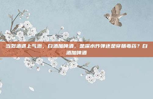 当烈酒遇上气泡,白酒加啤酒,是深水炸弹还是穿肠毒药?白酒加啤酒