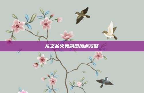 龙之谷火舞刷图加点攻略